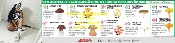 стаф Алексеевка