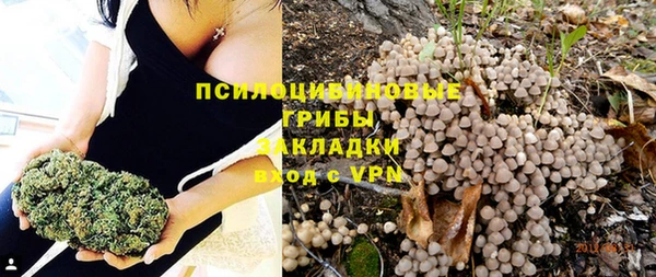 синтетический гашиш Алексин