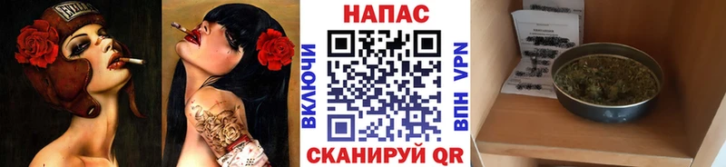 блэк спрут зеркало  Лаишево  Конопля планчик 